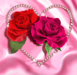 ROSE de l'AMOUR sur petale de velour